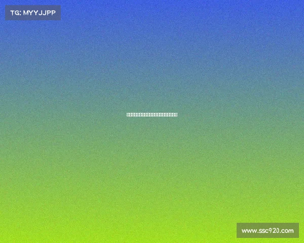 北仑女排赛事激情上演巅峰对决尽展排球魅力